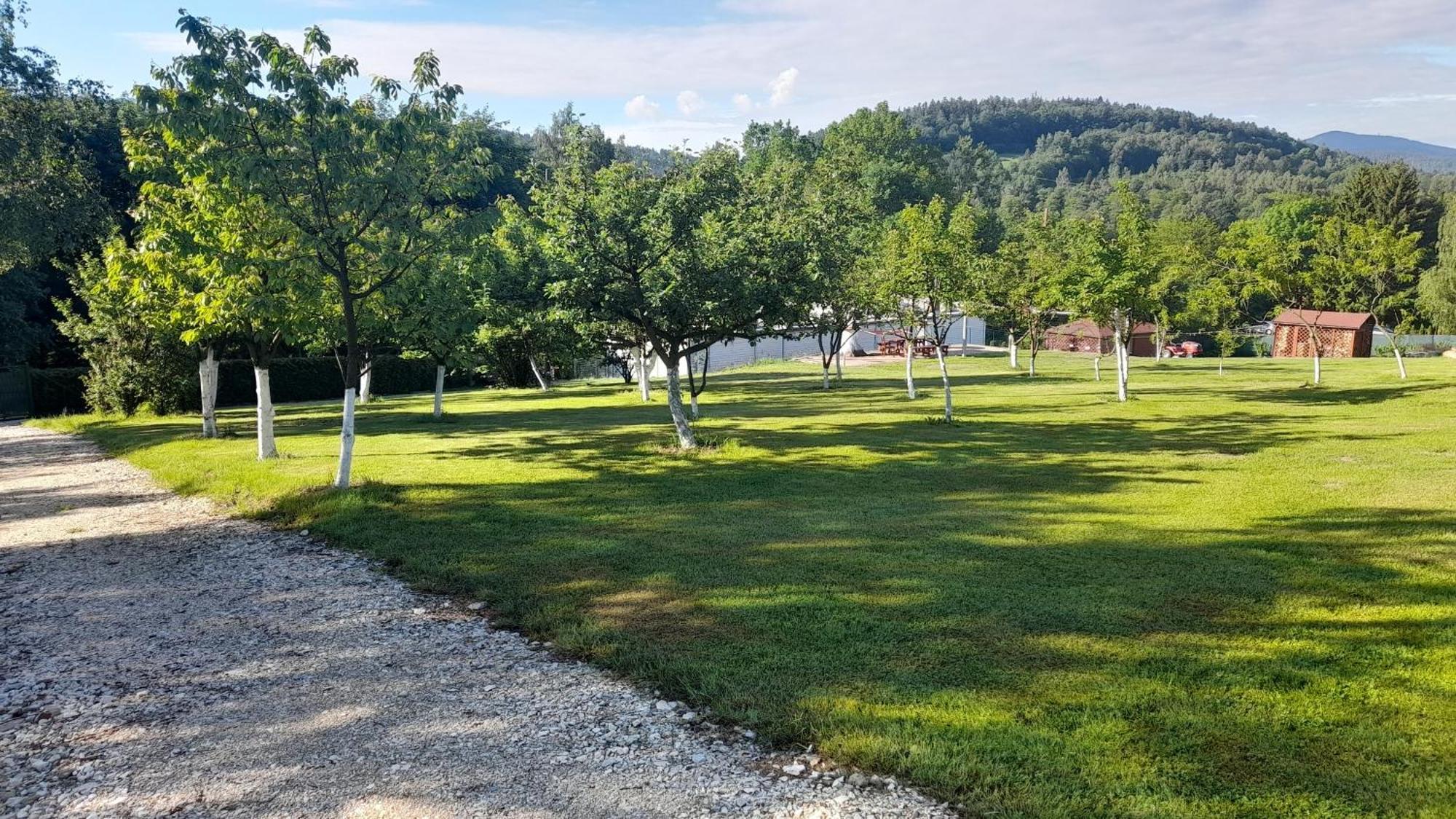 Orzechówka Ladek-Zdroj Exterior foto
